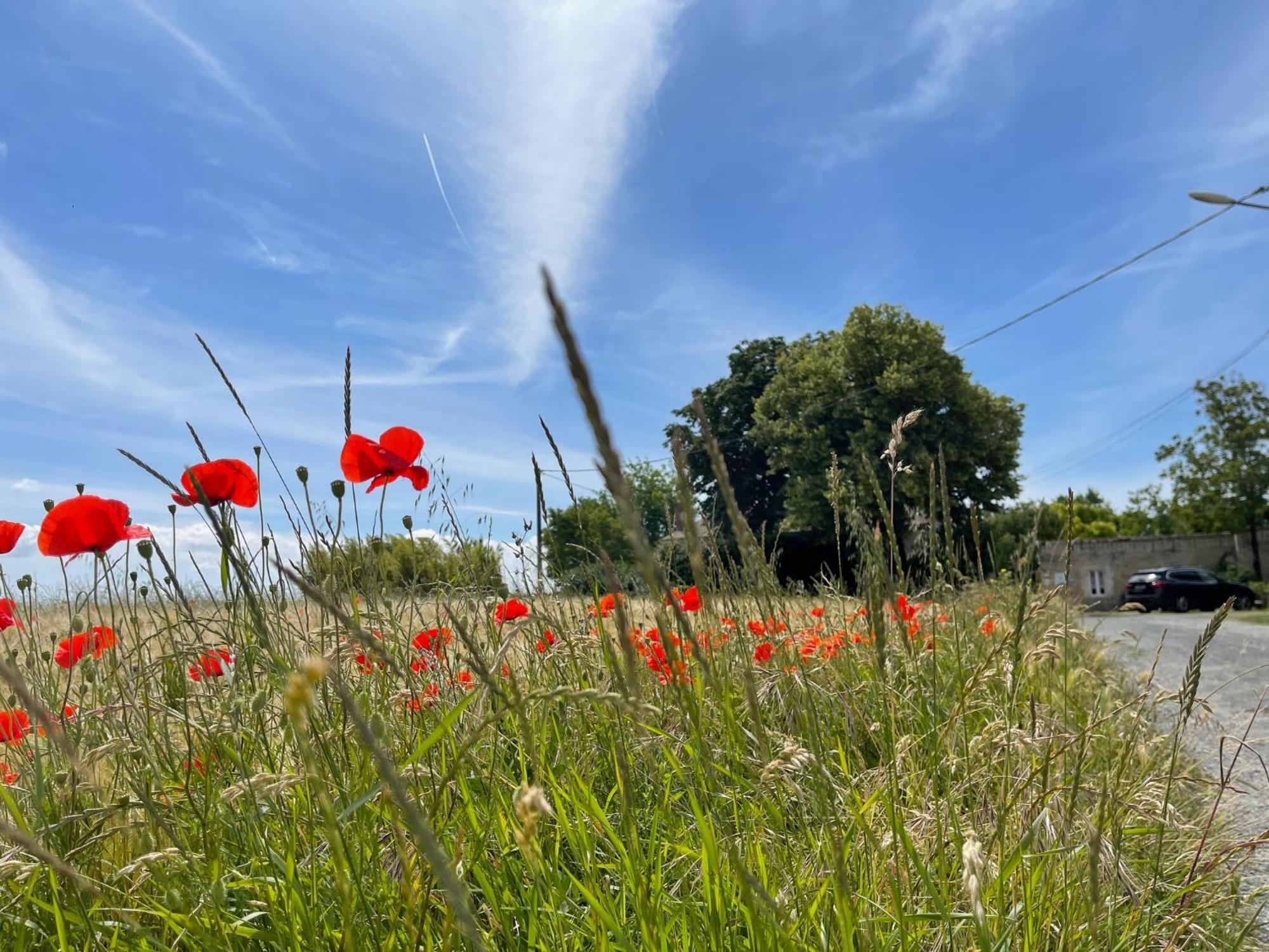 Bed and Breakfast Logis Saint Leonard Dompierre-sur-Mer Экстерьер фото